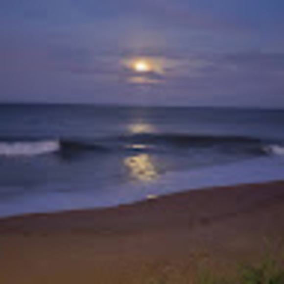 Meet your Posher, Kelly - Picture 1 of 1